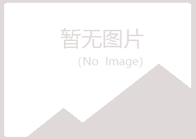 兰山区残留房地产有限公司